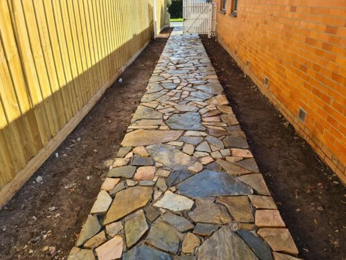 206058877 4308563169208905 3999185172393466849 n